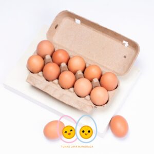 Tempat telur kertas isi 12